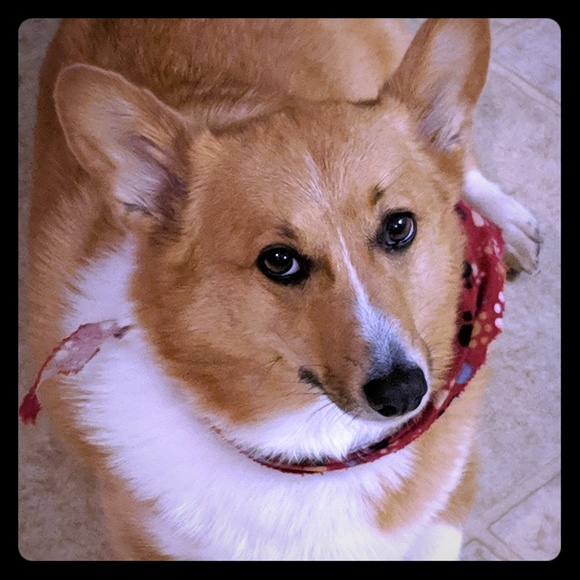 PLUS SIZE CLOSET! The Real Greta Von K  - Picture 2 of 7